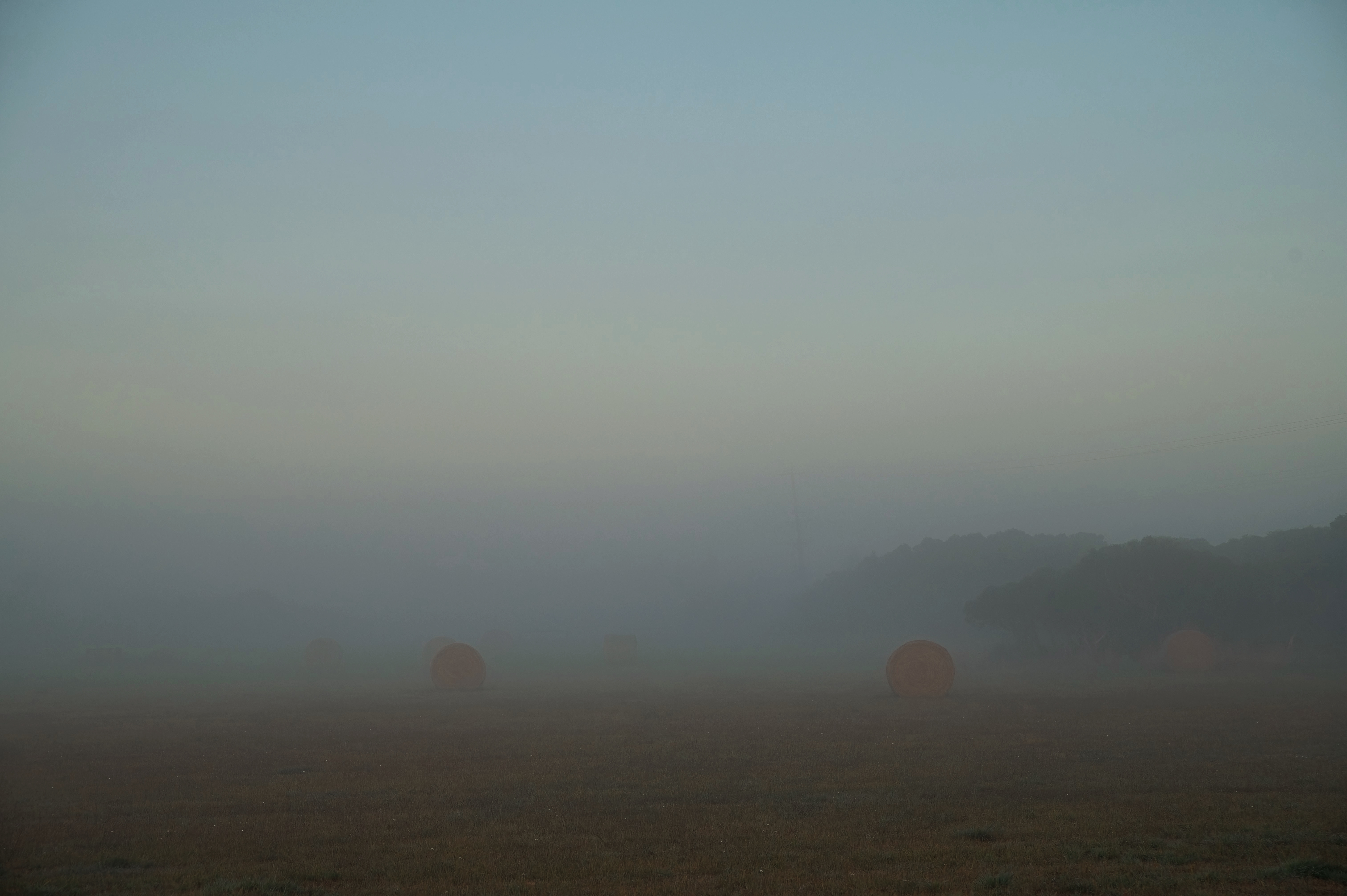 Hay bales in fog, South Gippsland